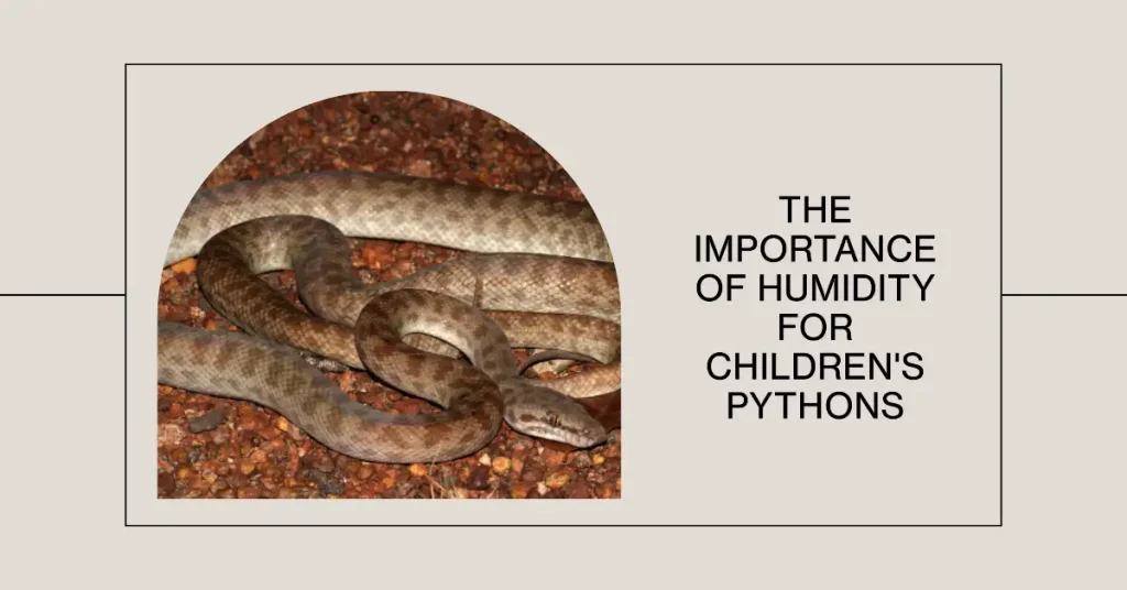 Children's Python