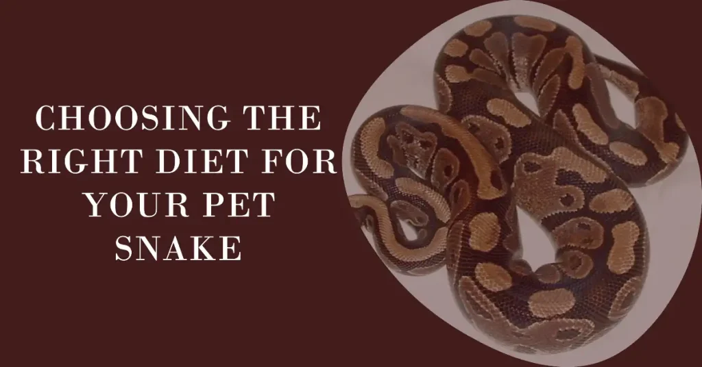 pet snakes diet