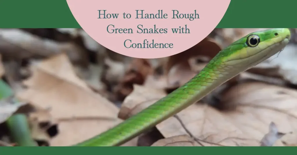 rough green snake handling