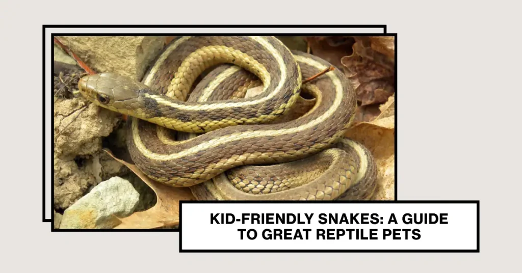 pet snakes for kids
