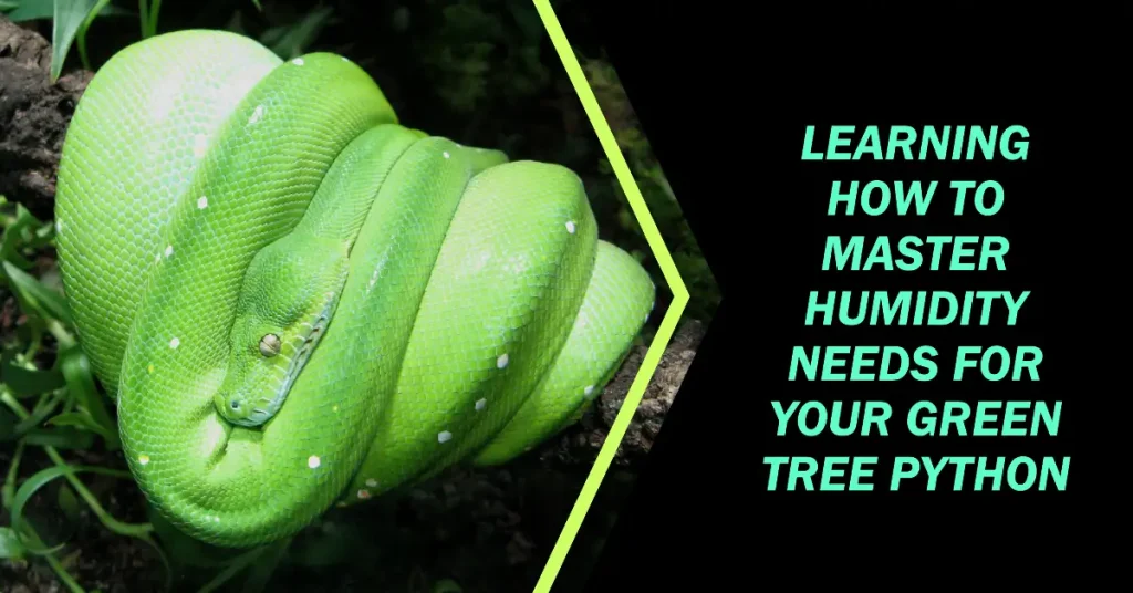 green tree python humidity