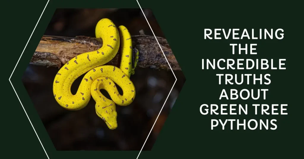 facts about green tree python