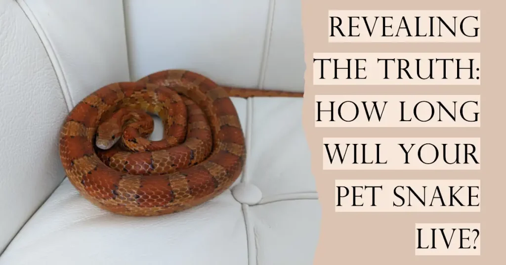 how long do pet snakes live?