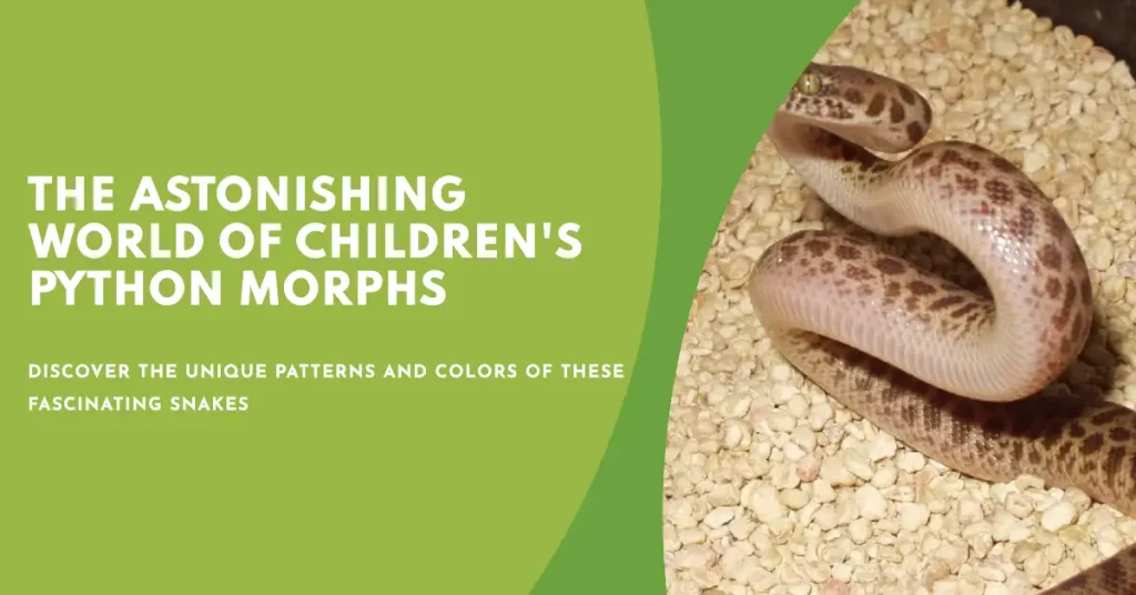 Children's python morph