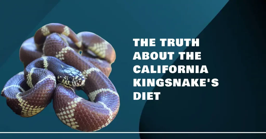California kingsnake diet
