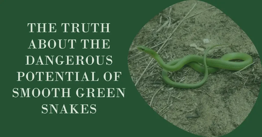 are smooth green snakes dangerous?