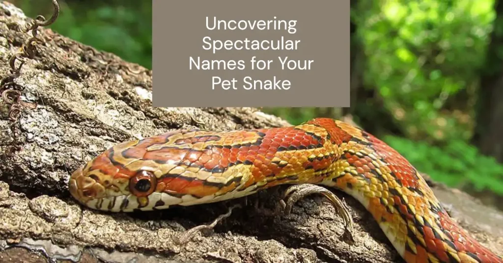 pet snakes names