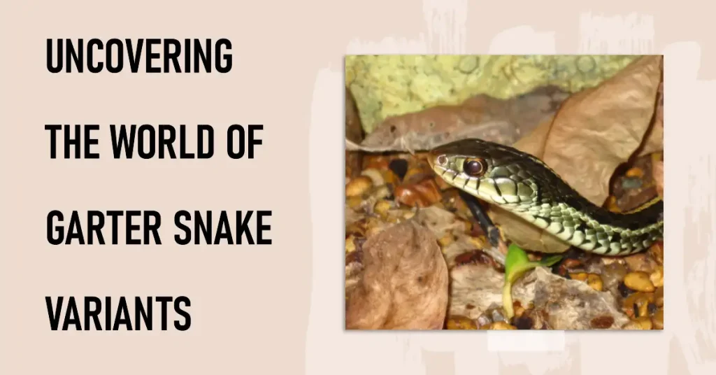 garter snake types